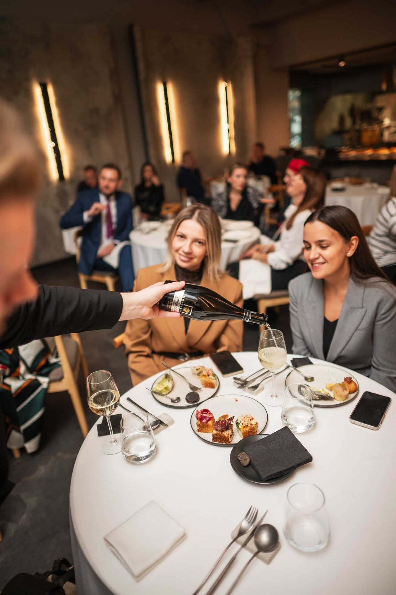 Siamese Asset — Krasnoyarsk 5.03.2025. Фотогалерея Kalinka Thailand