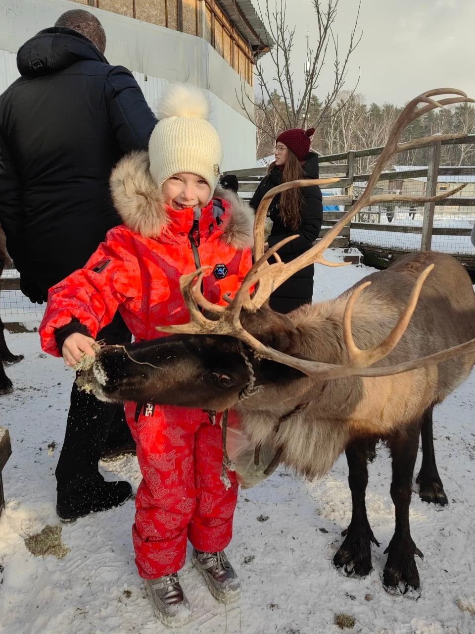 В гости к северным оленям | 02.12.2023. Галерея Фантим