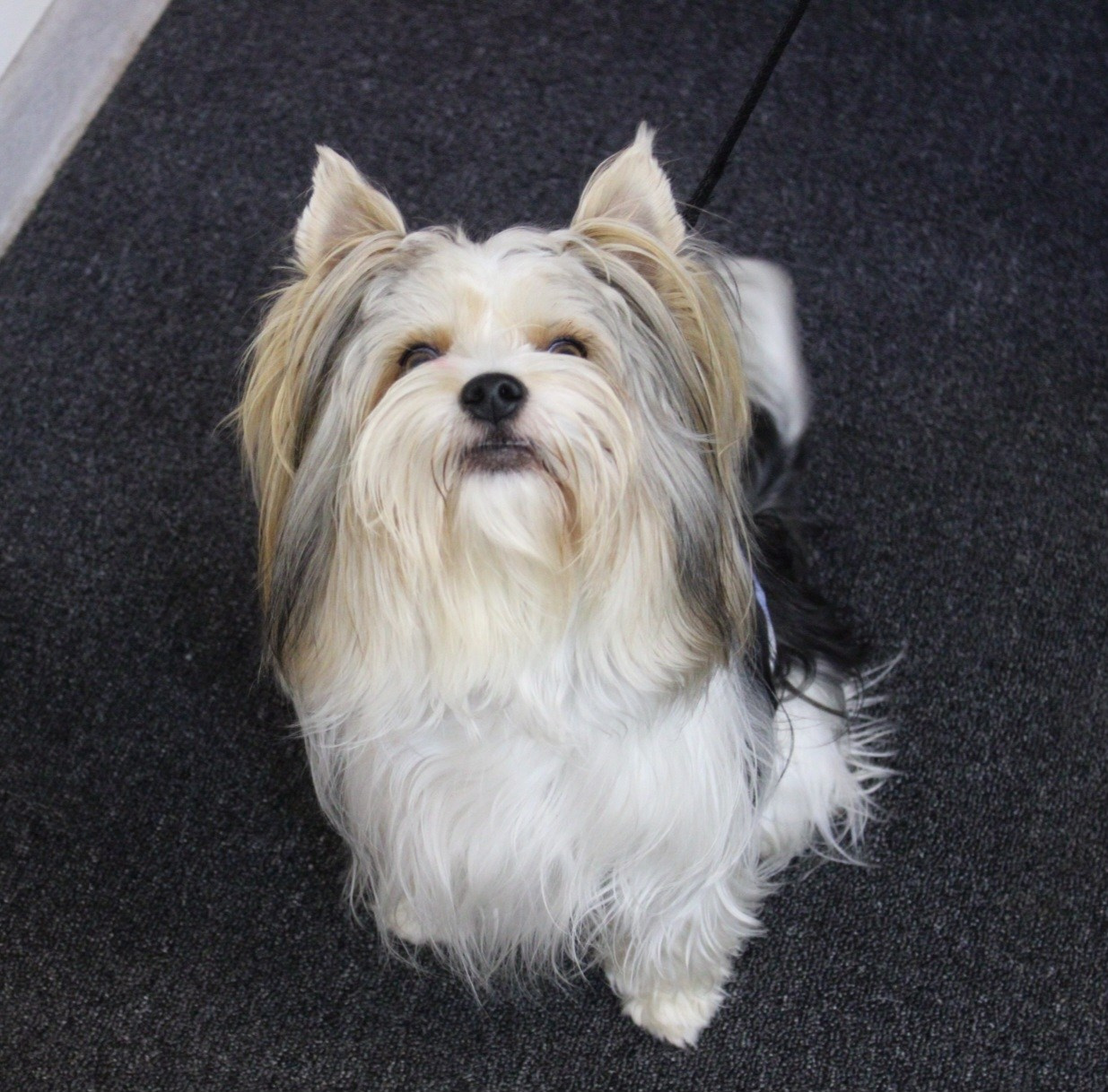 Репортаж УС «ДЦ Ральф». Катя Попова|ЛайфСтайл фотограф