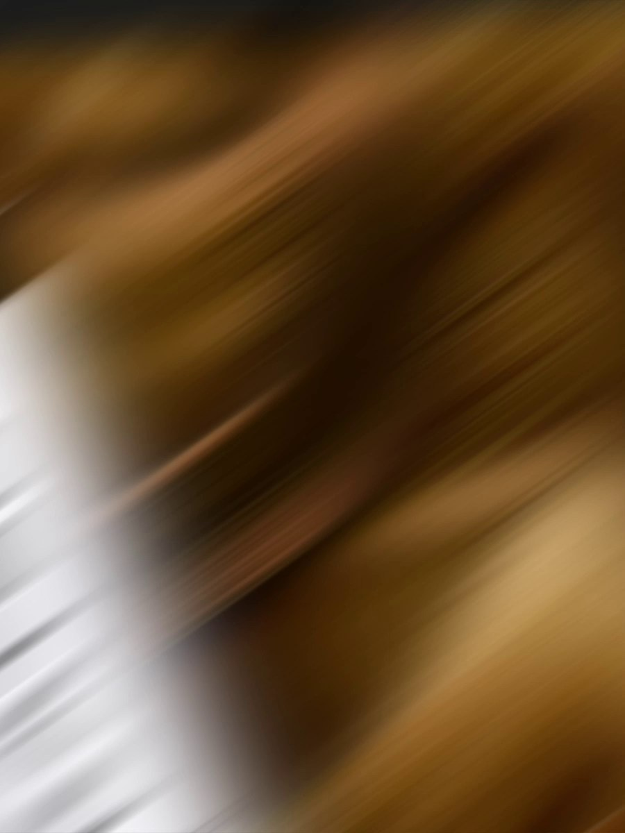 ВИДЕО И АНИМАЦИЯ. Студия Антонины Баушевой