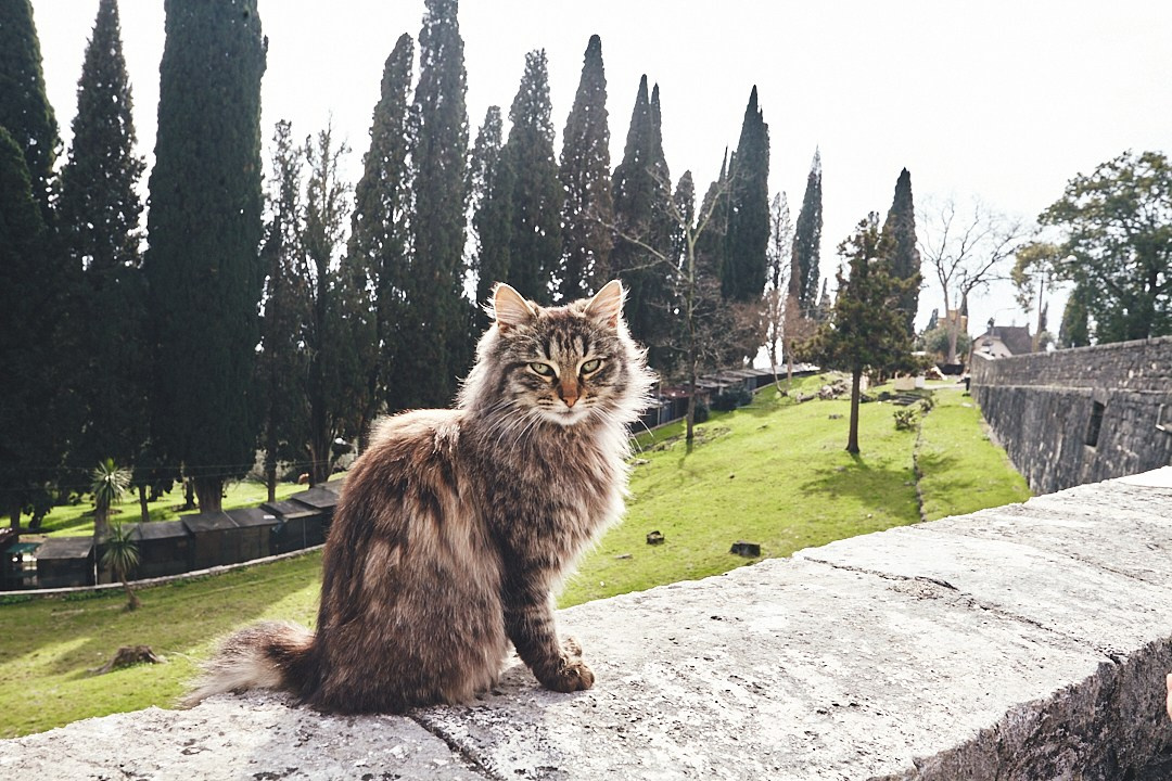 Фотографии с поездки в Абхазию в Новый Афон. Фотограф в Сочи Катя Гончарова