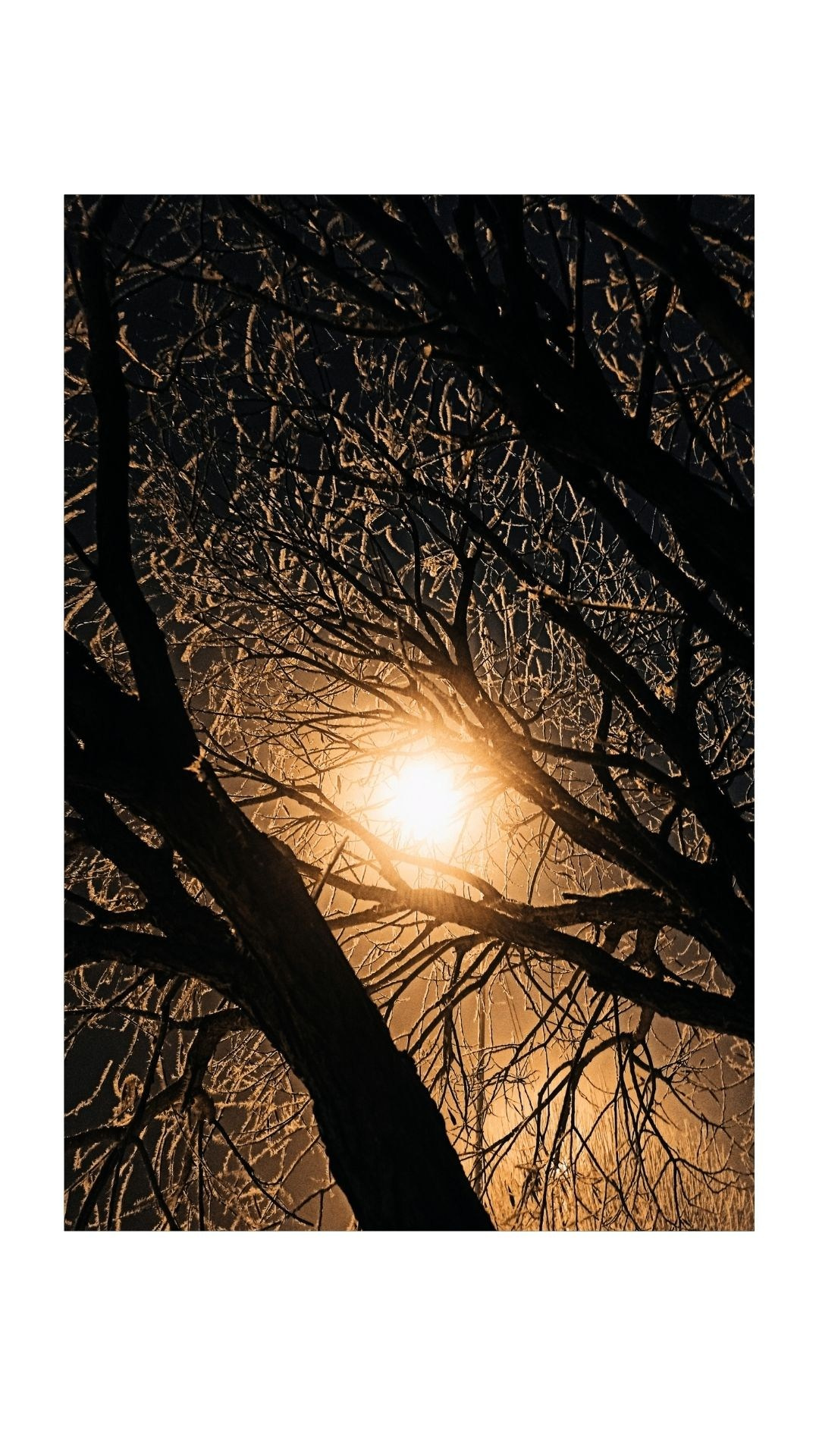 Зима по-сибирски. Главная