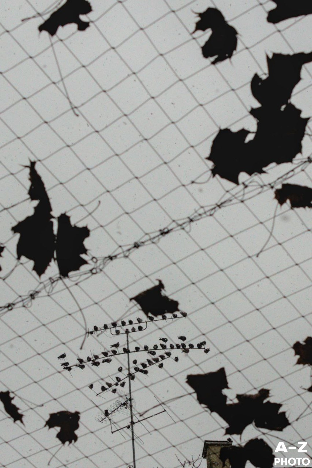 Фото недели AZPHOTO 24.11.2025. Женский семейный фотограф Тула Москва Захарова Анна