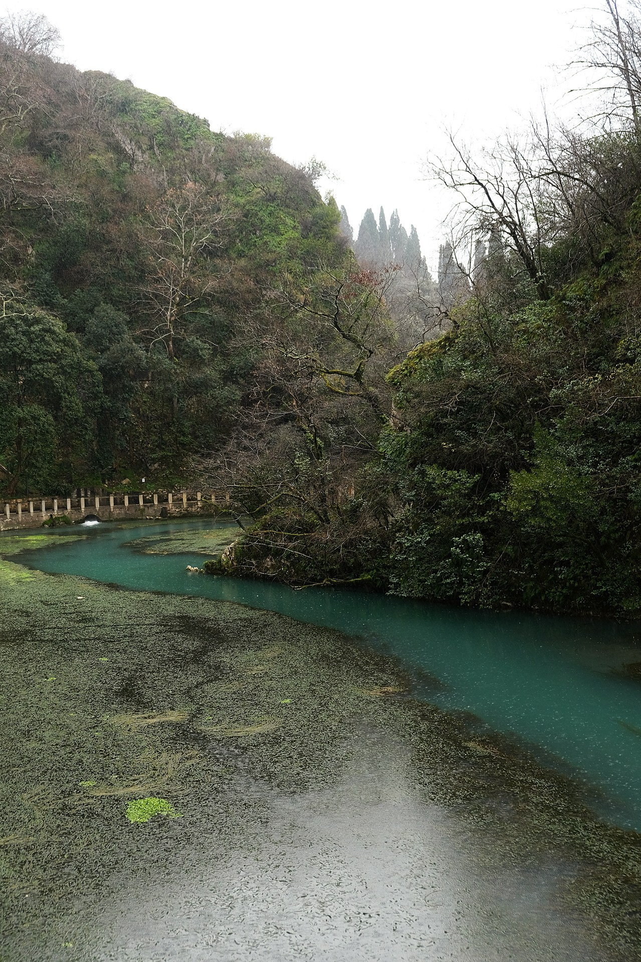 Lida & Salam. Свадебный и семейный фотограф Ксения Тараканова г. Иваново