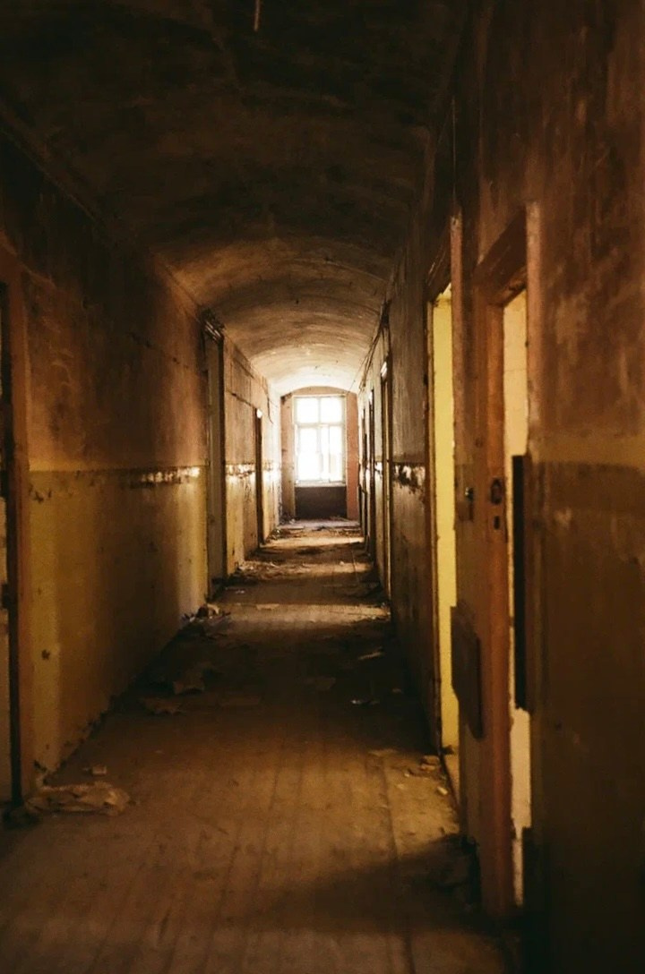 Снято на пленку. Семейный LIFESTYLE фотограф в Москве