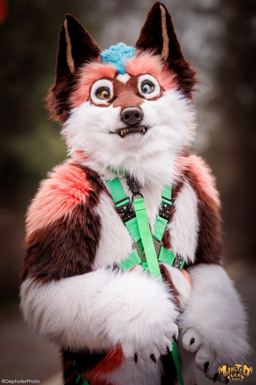 United Furry Convention 2026. Различные мероприятия и просто фотографии людей