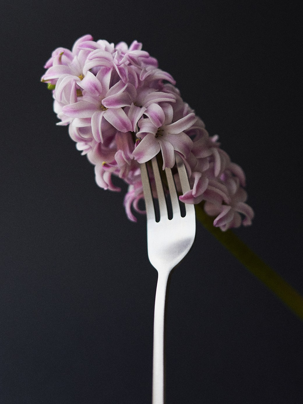 Съемка каталога. PSY фотограф в Санкт-Петербурге Настя Михайлова