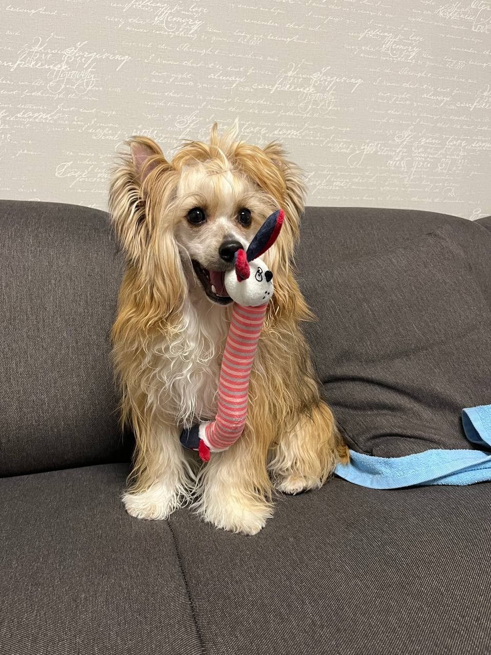 Veles, watches Moscow24 news every evening. Erudite :))