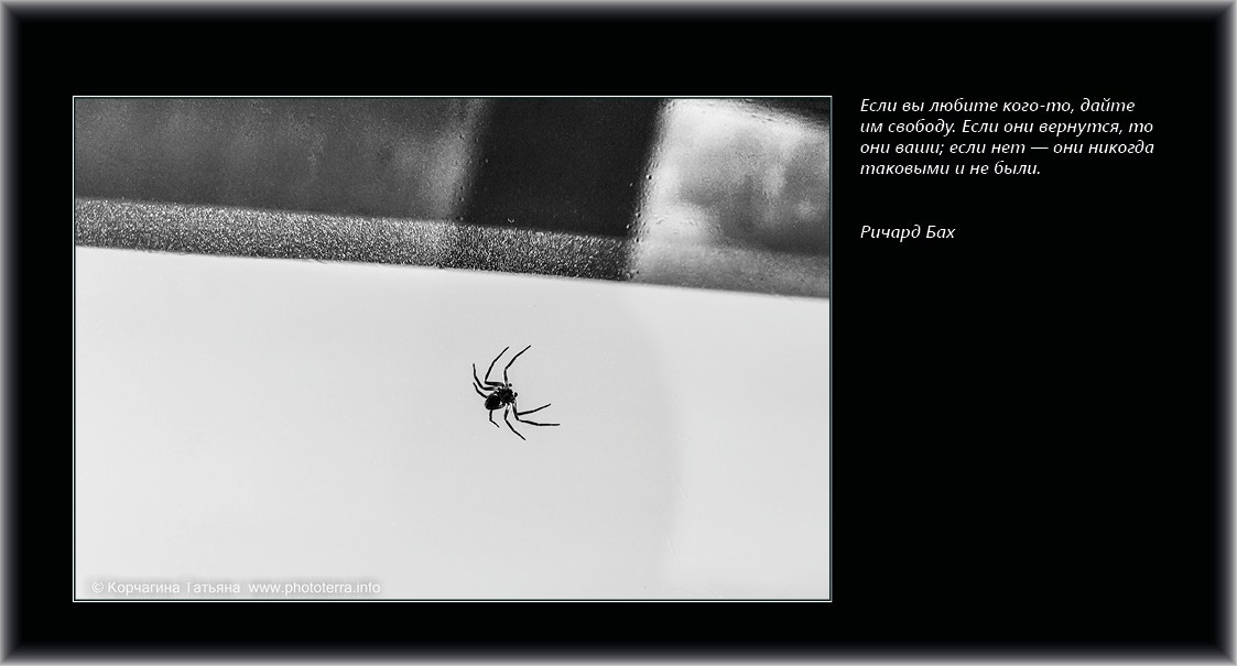 Совет дня — ориентир. Татьяна Корчагина. Фотограф, художник. Обучение фотографии