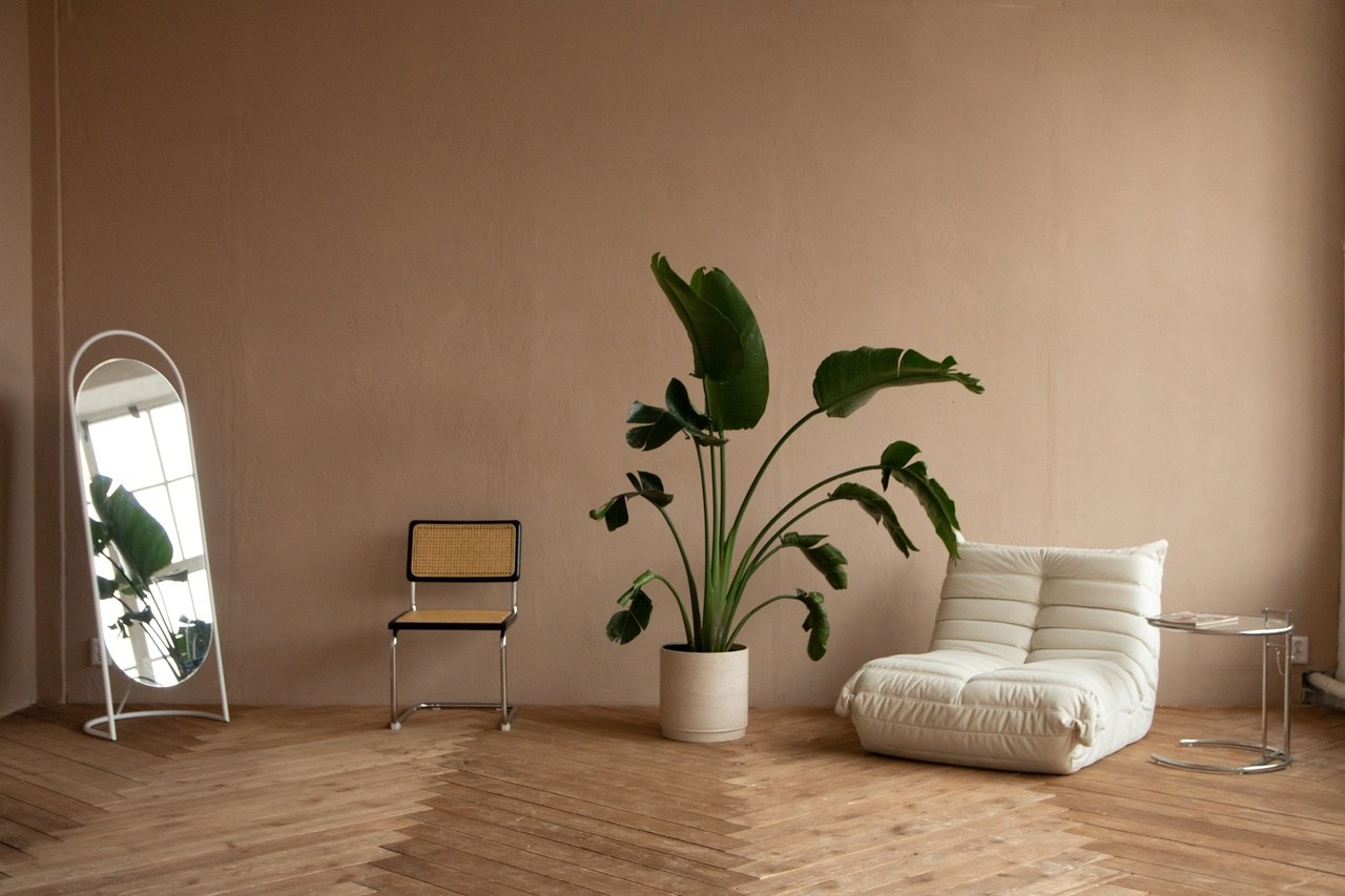 Фотостудии Ярославля