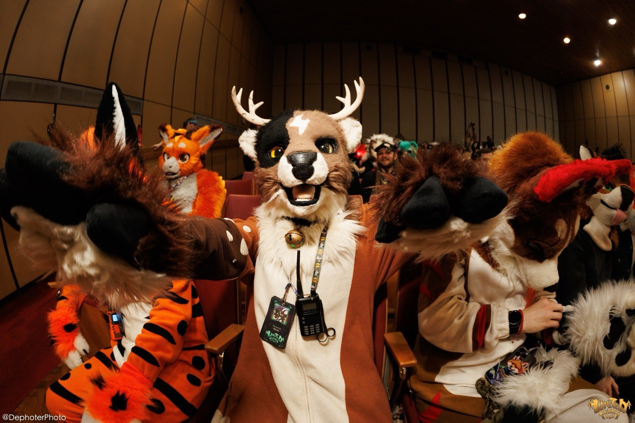 United Furry Convention 2026. Различные мероприятия и просто фотографии людей