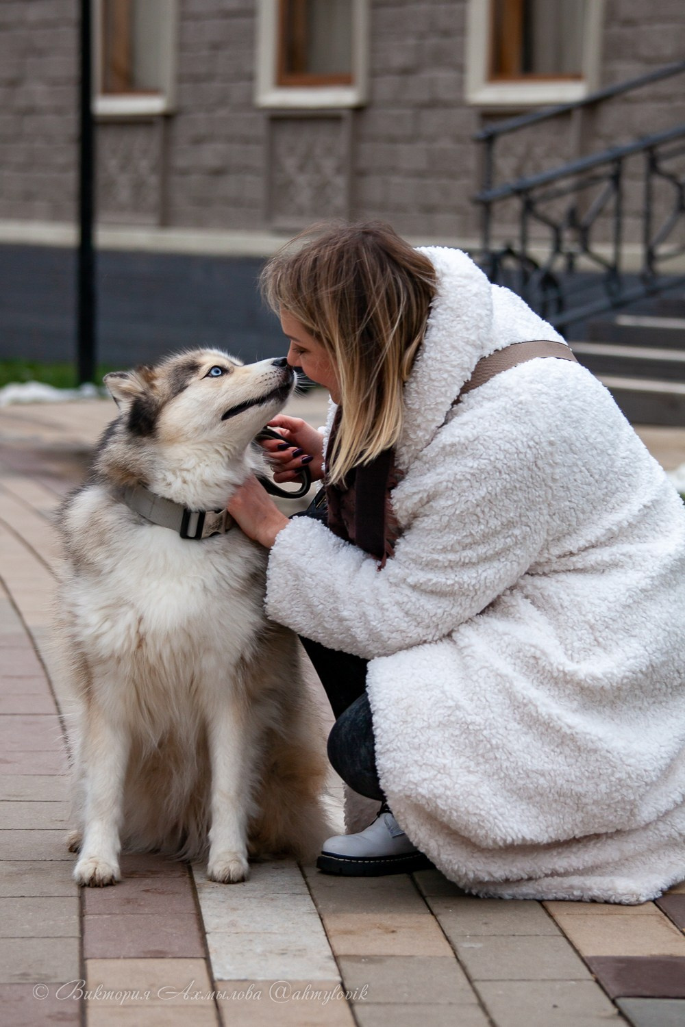Прогулка с Хаски (Настя). Виктория Ахмылова. Фотограф в Москве