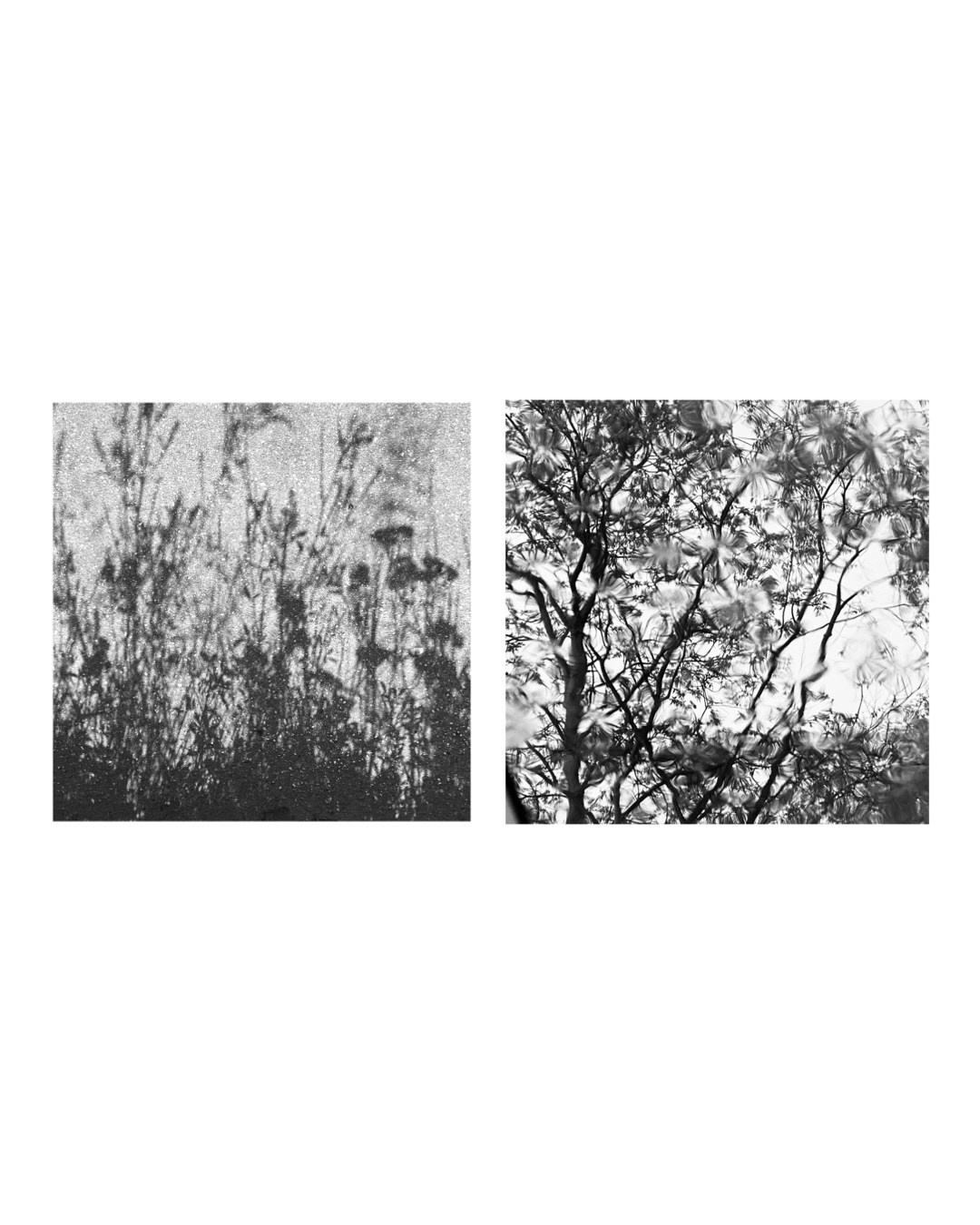 Паттерны. Фотограф Наталья Кургина Слюдянка Иркутск