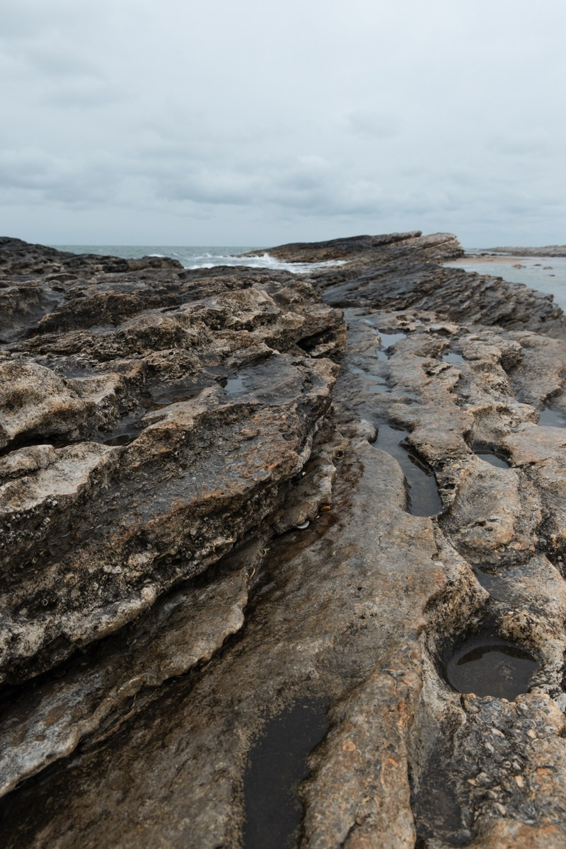 Избербаш. Photomantis