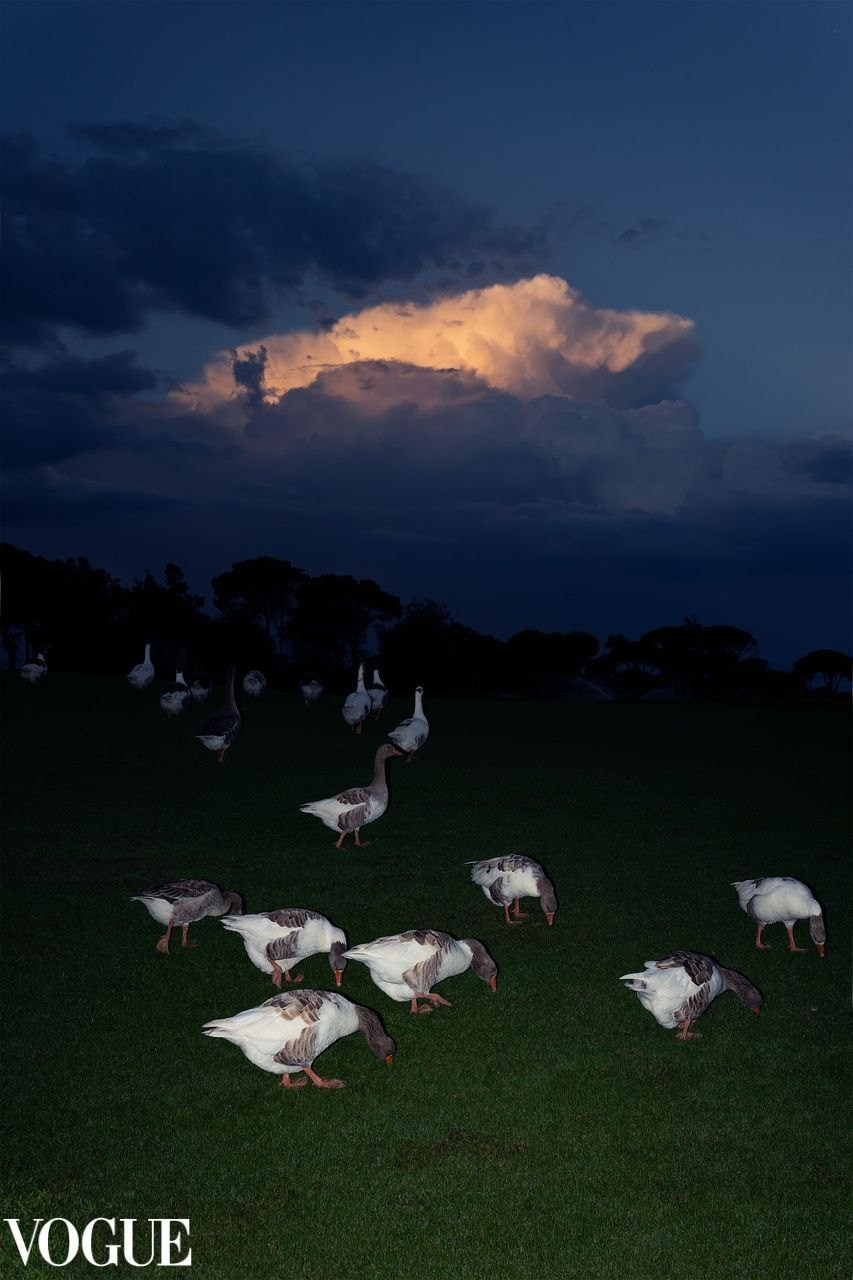 Работы студентов, курс «Вспышки» № 2