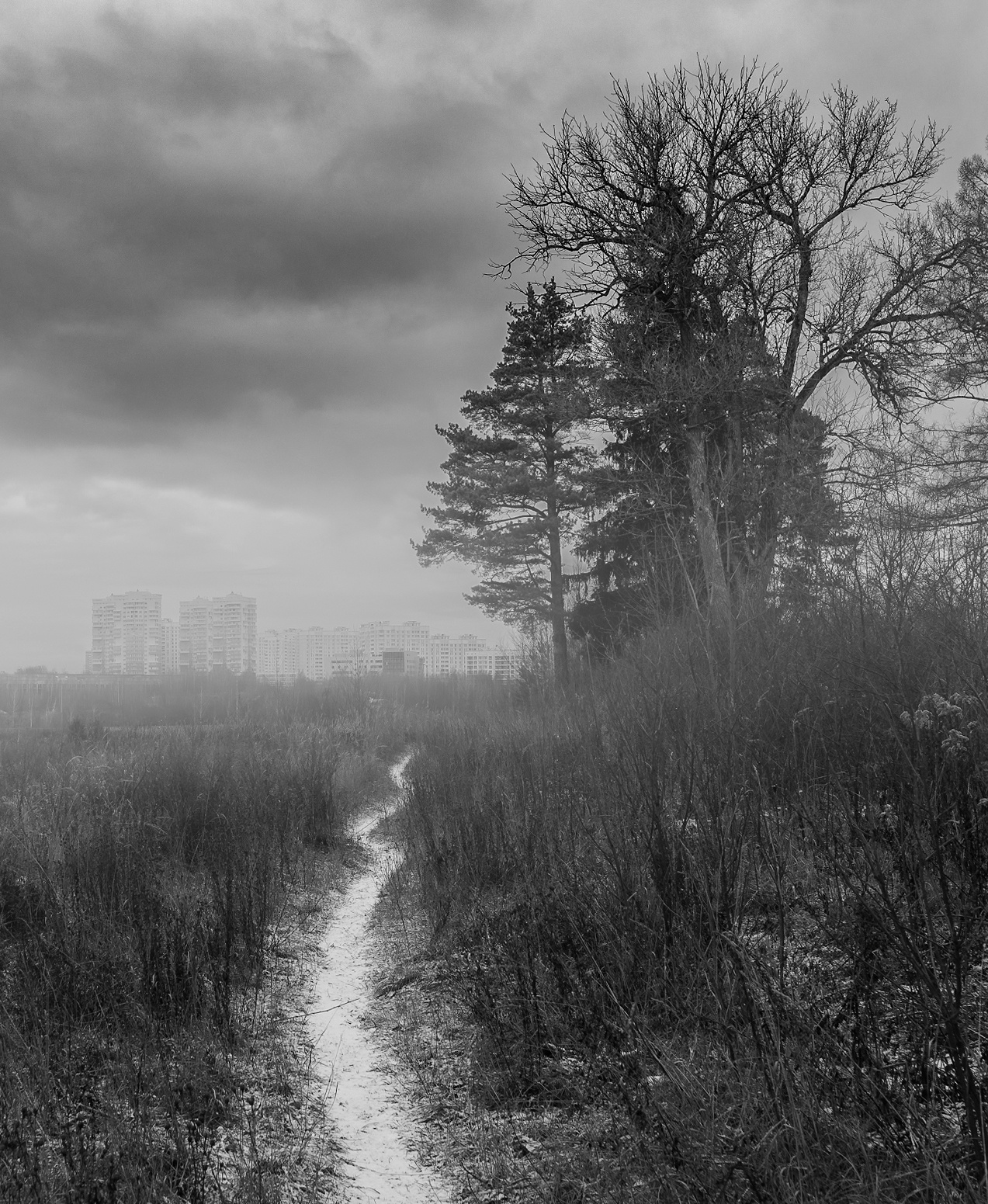 Даниил Мурай. Семейное фото. Мужской портрет. Женский портрет. Даниил Мурай — Фотограф Зеленоград- Аланья