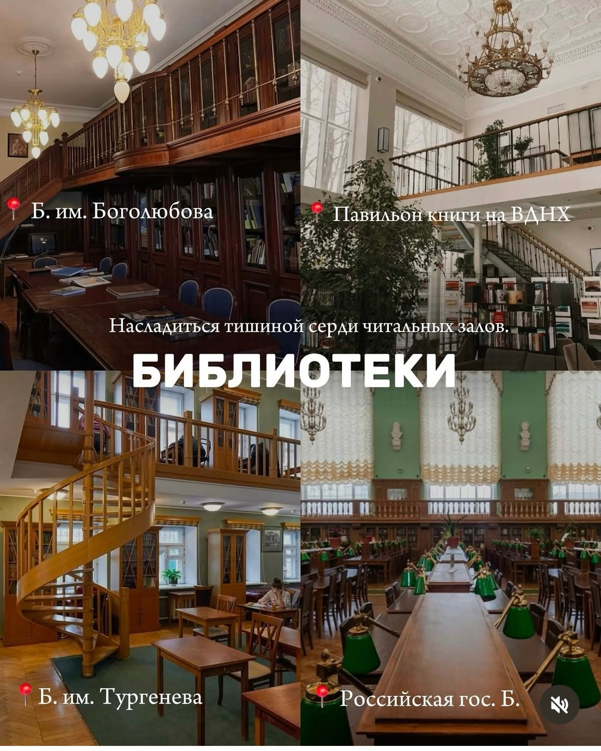 Городские. Фотограф Светлана Мерзлякова