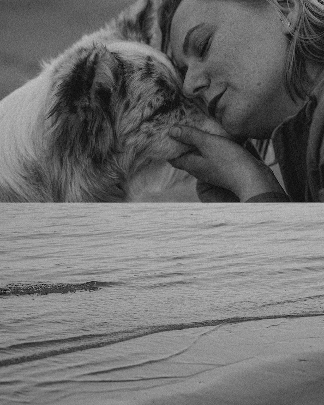Света, Катрин и Умка. Фотограф анималист в Москве и Санкт-Петербурге Свиридова Анна