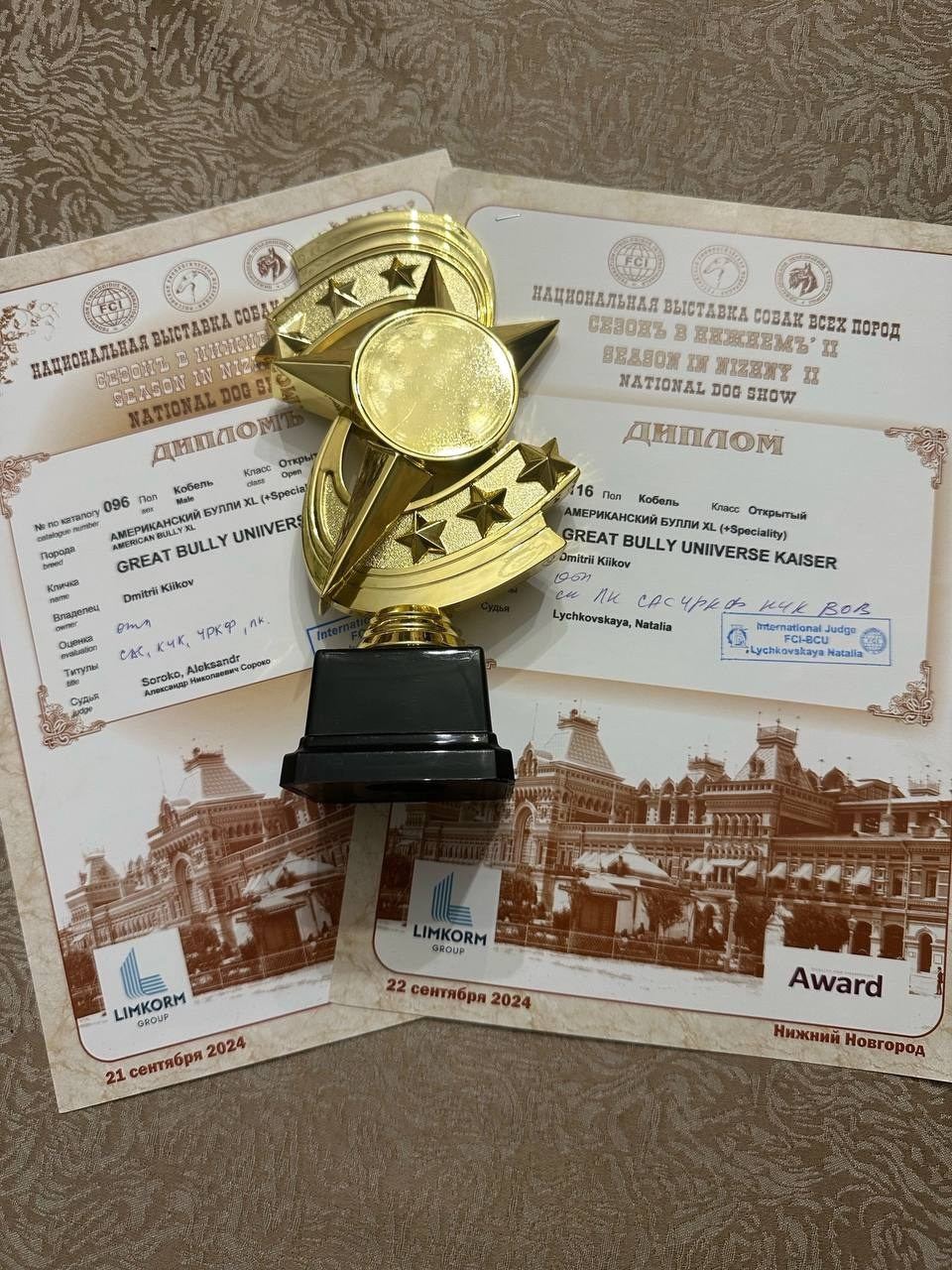Участие в выставках. Американские булли XL в г. Калининград. Питомник Great Bully UNIVERSE