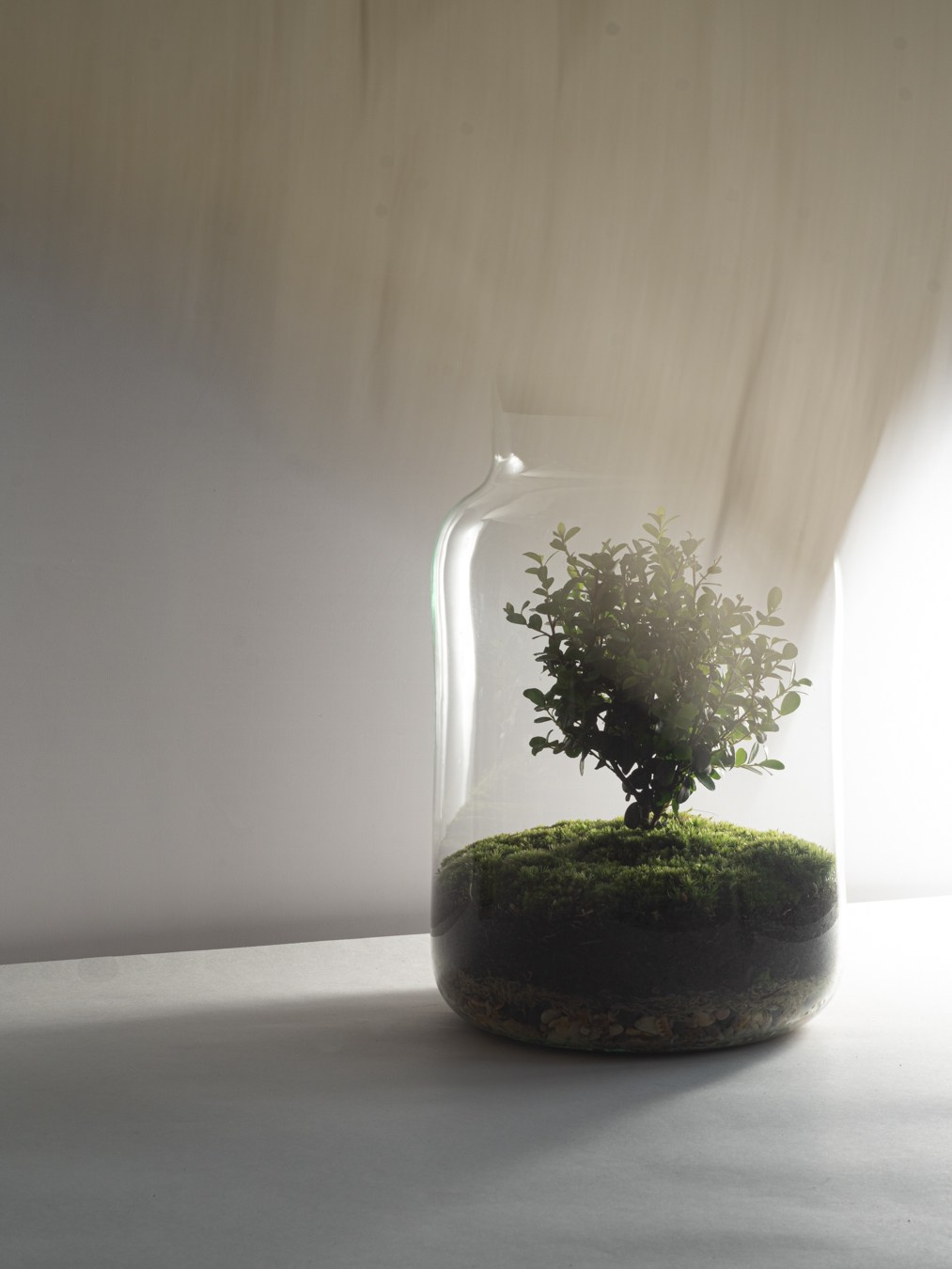 Домашний декор. Настасья Проценко. Фотограф