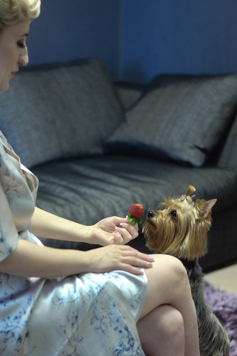 Даша и Миша. Фотограф в Нижневартовске Анна Стрельцова