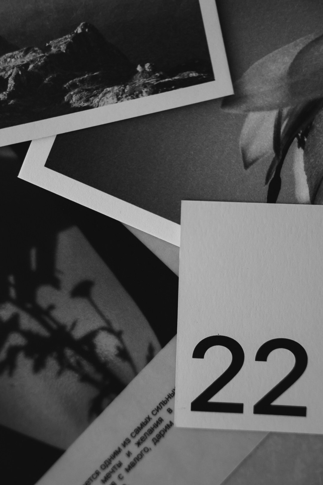 22 zima. Фотограф Нижний Новгород