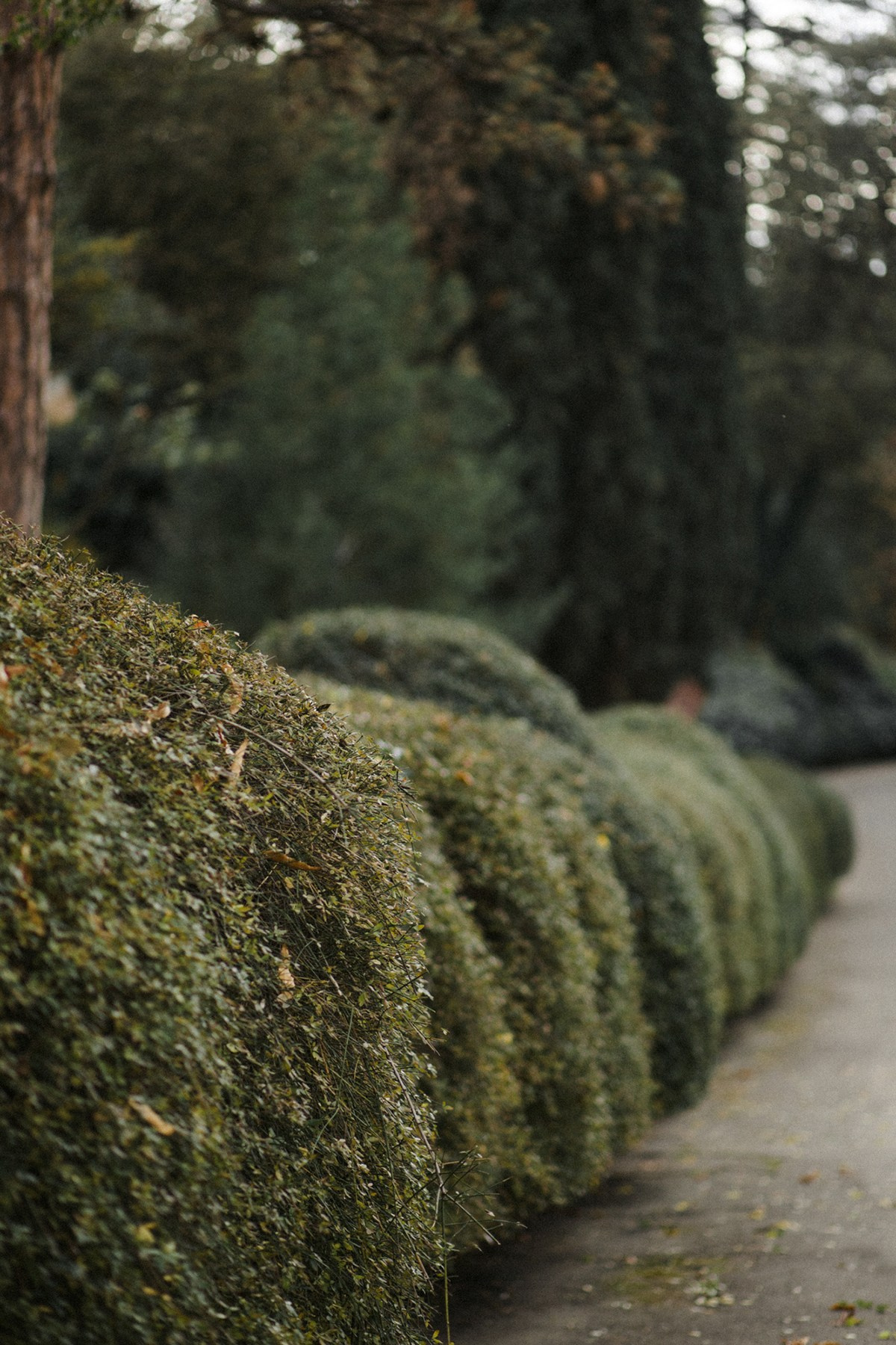 Jenya. Anastasia Blud Photography