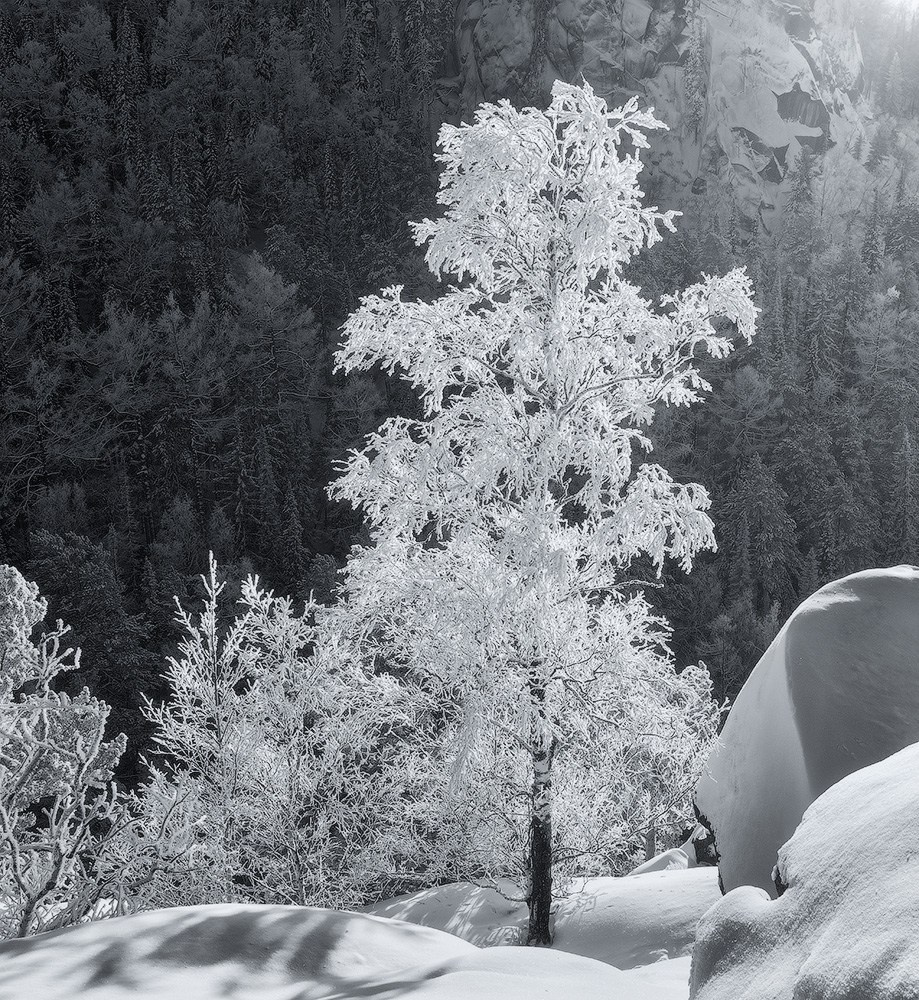 Зима. Александр Лещёнок-фотограф-пейзажист / г. Красноярск