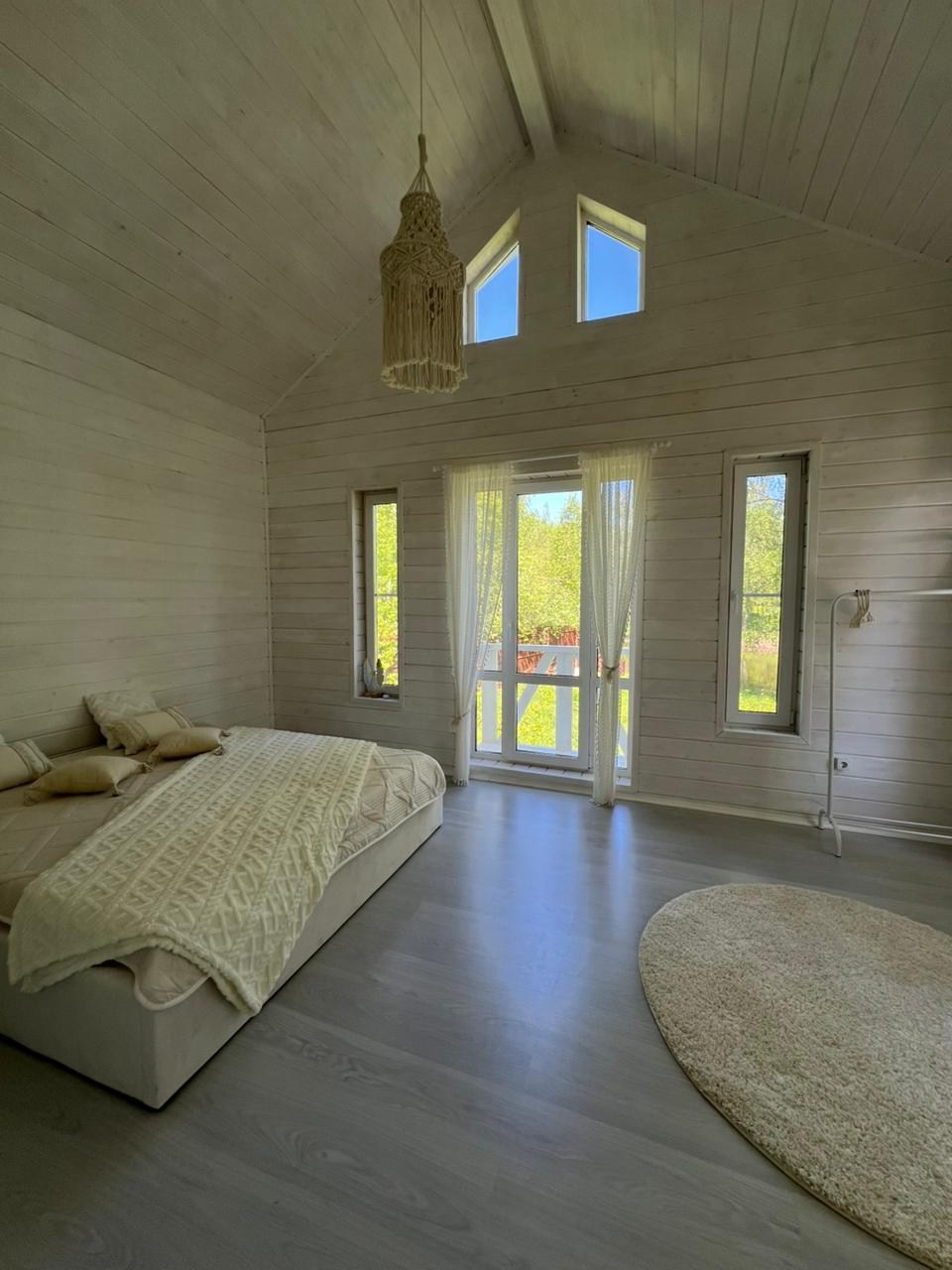 Рябина комнаты