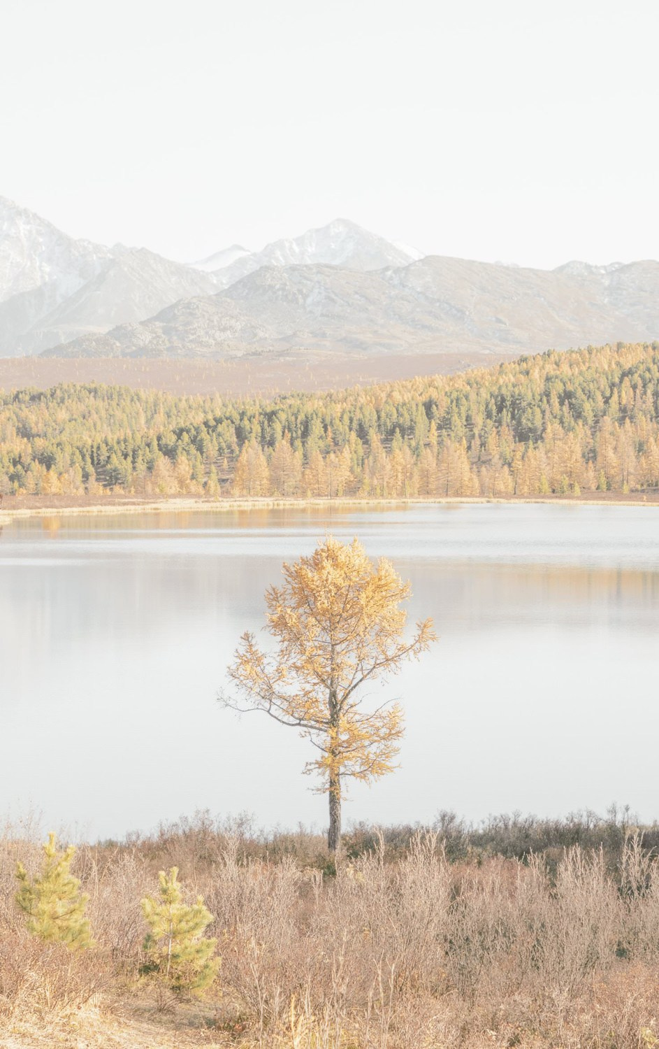 Altai Dream — personal project of photographer Vadim Sherbakov. Vadim Sherbakov Portfolio