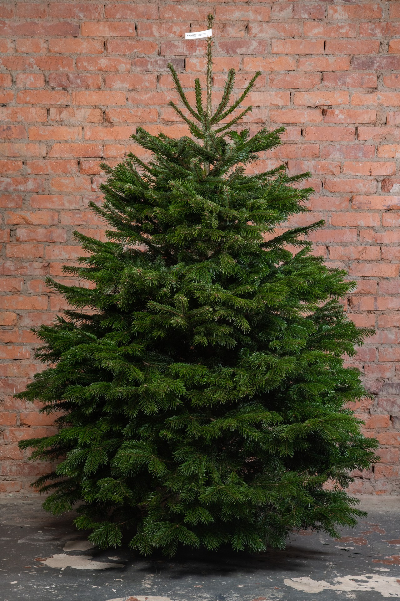 Предметная съемка елок. Фомина Елена Свадебный и семейный фотограф