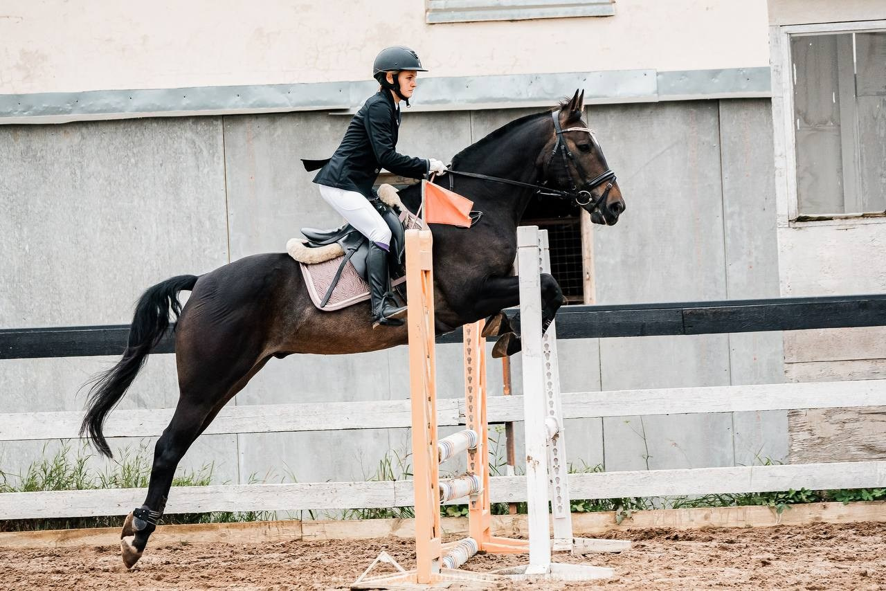 ОСЕННИЙ КУБОК КСК «СОЗВЕЗДИЕ» по КОНКУРУ. Конный фотограф Куракина Дарья • Фотосессии с лошадьми