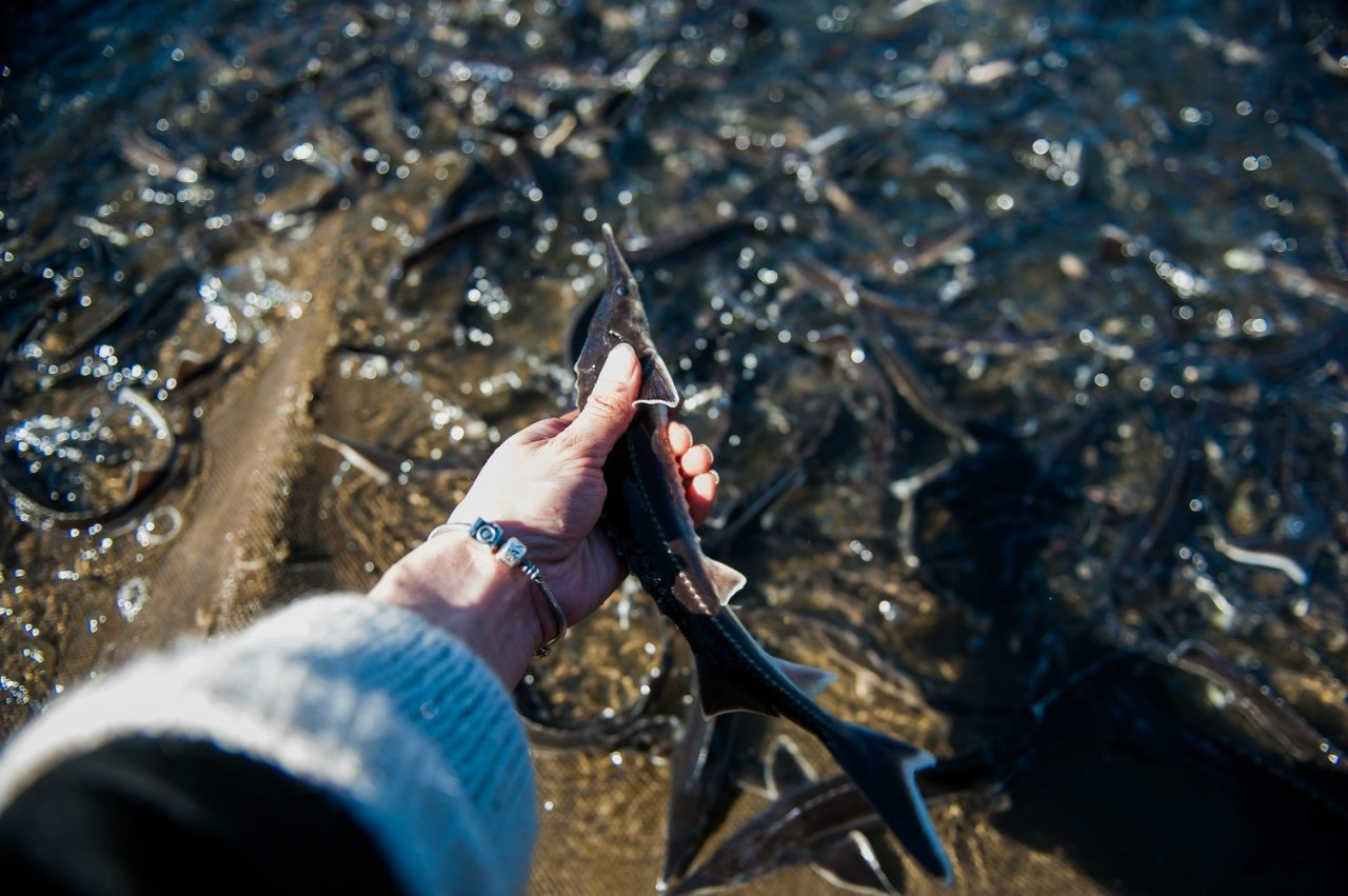 МОЙ 2014. Фотограф