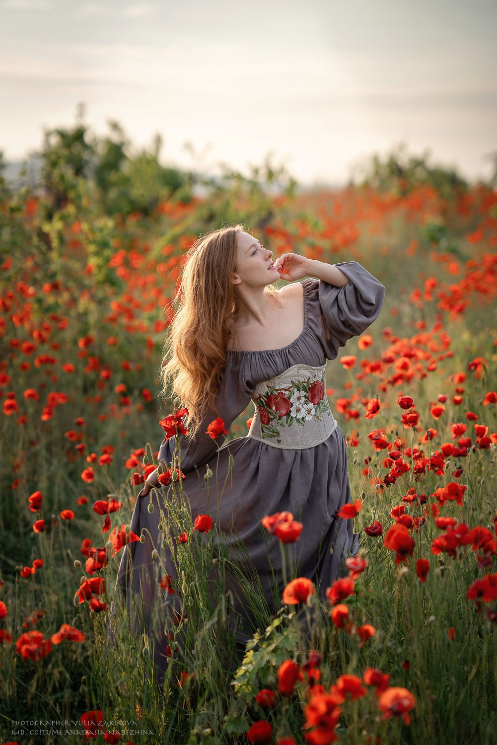 Маковое поле. Проверка