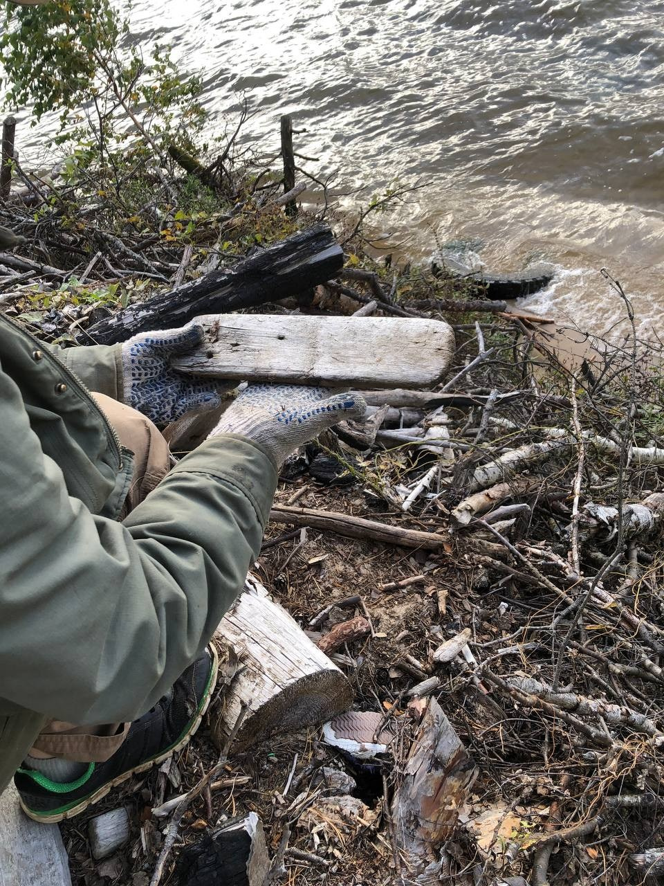 Каталог работ. Современная художница Елена Алексеева (Alpha_Vita)