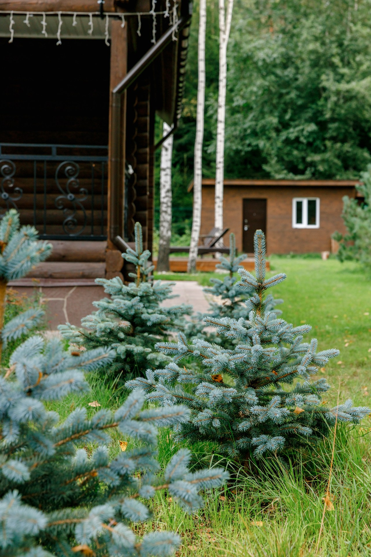 Загородный дом. Ландшафтный дизайн. Репортажный фотограф в Санкт-Петербурге Жолудев Владислав