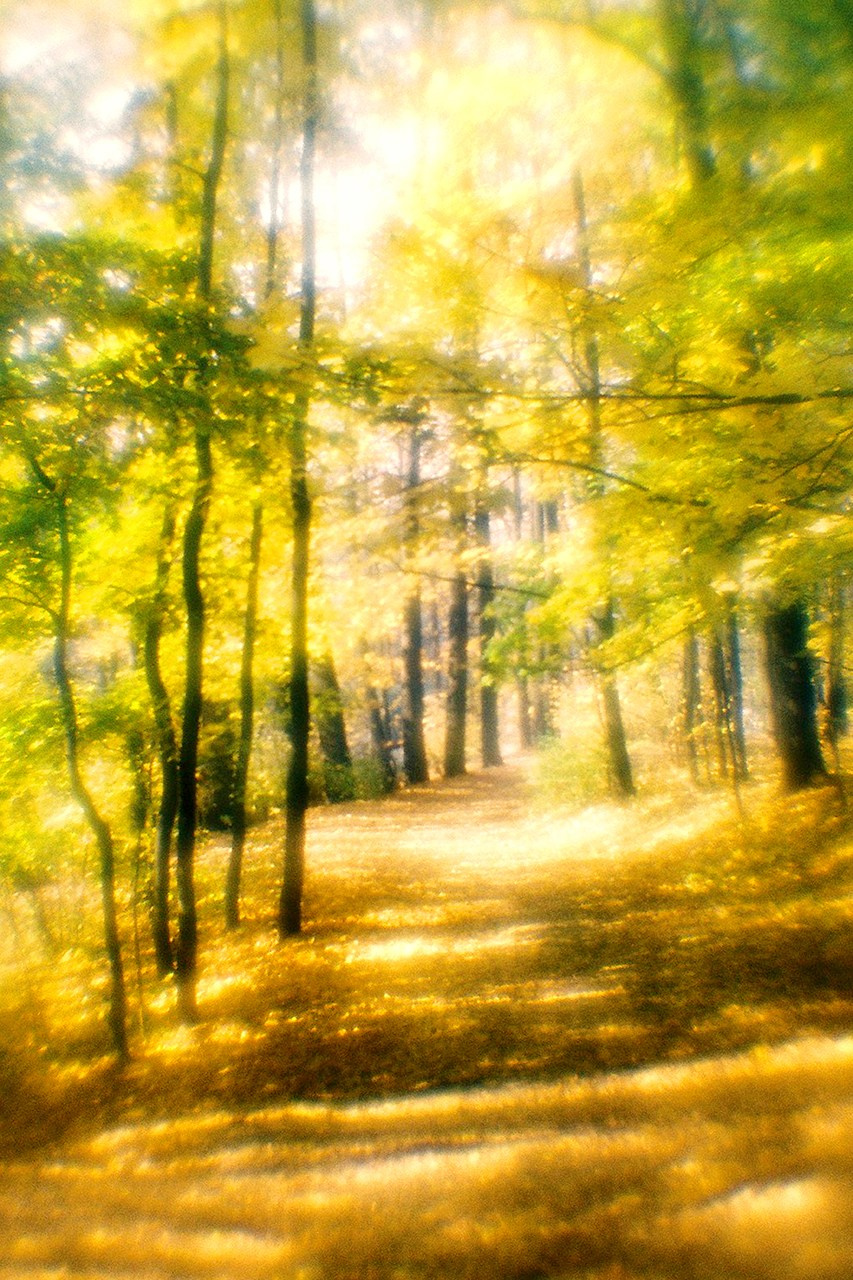 РАЗНОЕ. Андрей Пономарёв