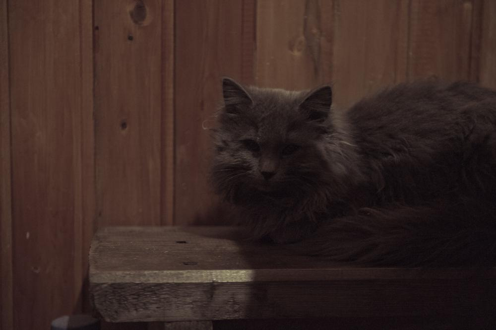 Детские дома. Профессиональный фотограф Кирилл Зайцев