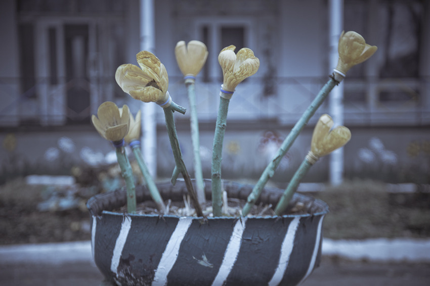 Детские дома. Профессиональный фотограф Кирилл Зайцев