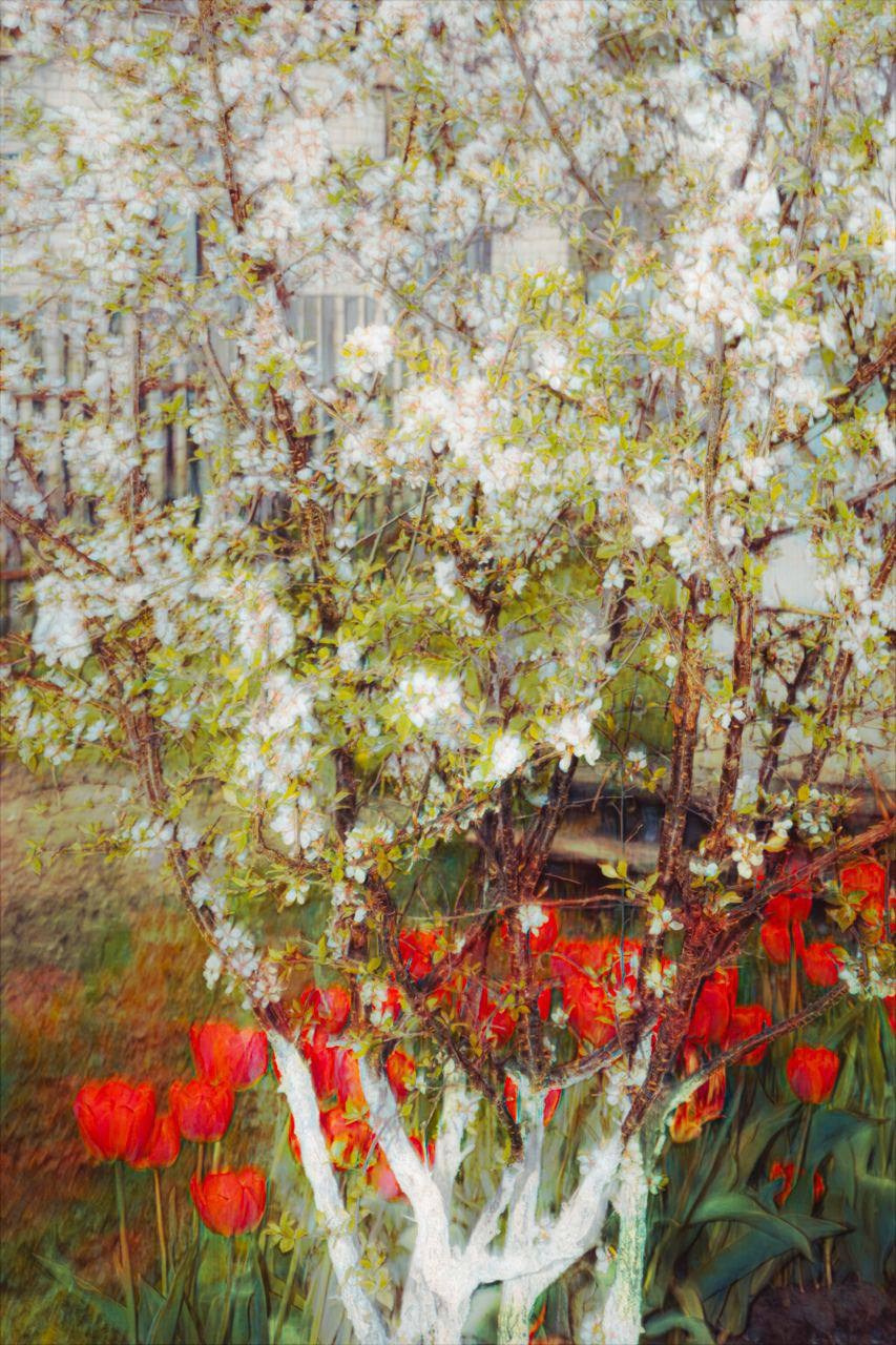 Галерея 1. Наталья Жукова. Курсы фотографии