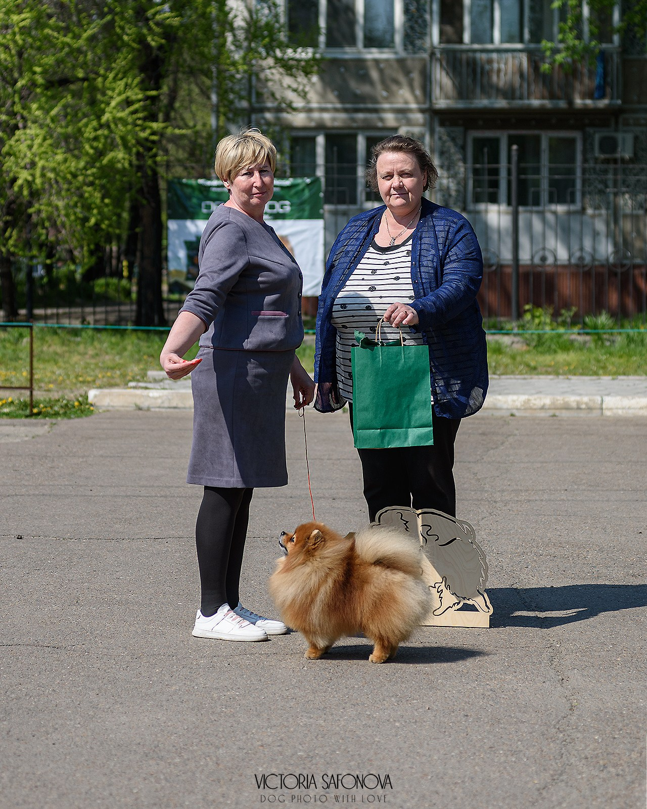 19 мая 2024 Благовещенск. Монопородная выставка шпицев. Фотограф анималист Благовещенск. Сафонова Виктория
