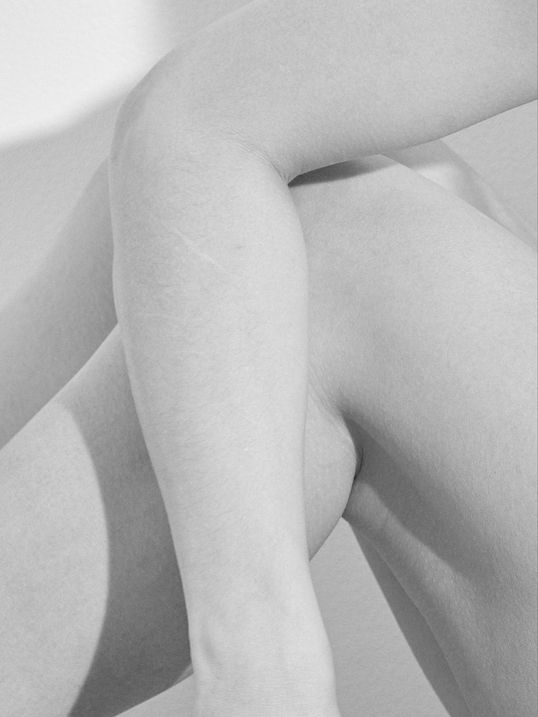 PELAGEYA. Shyjungle's Portfolio