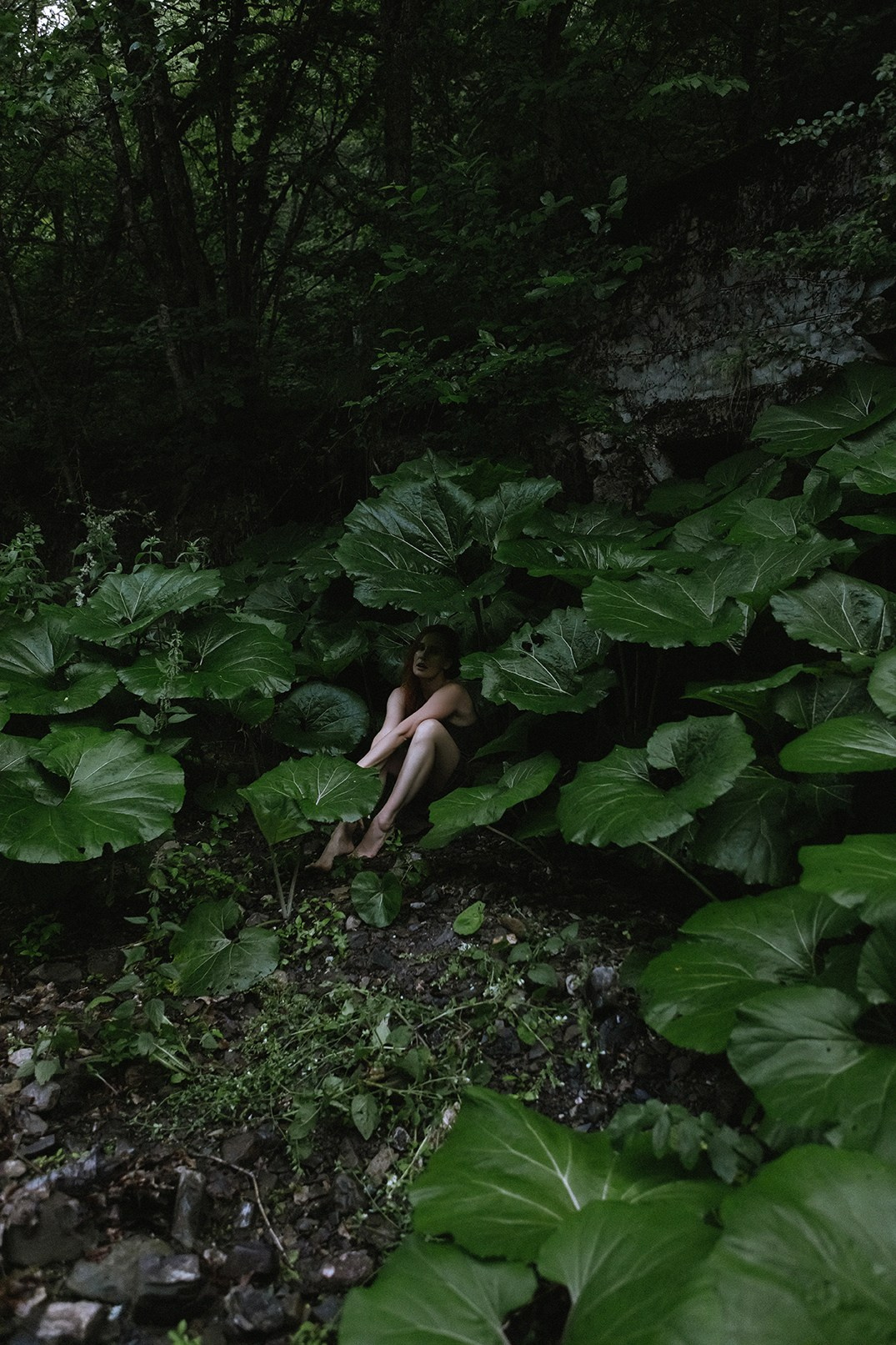 Оля портреты. Семен Соколов