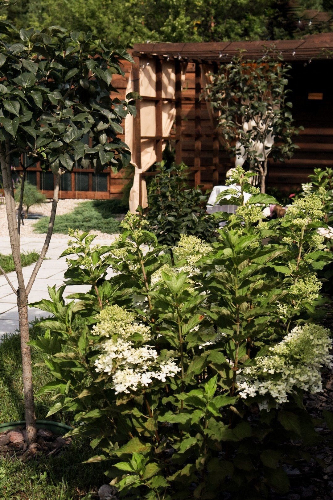 Парк-заповедник Купидон. Семейный фотограф в Димитровграде Елена Патрушева