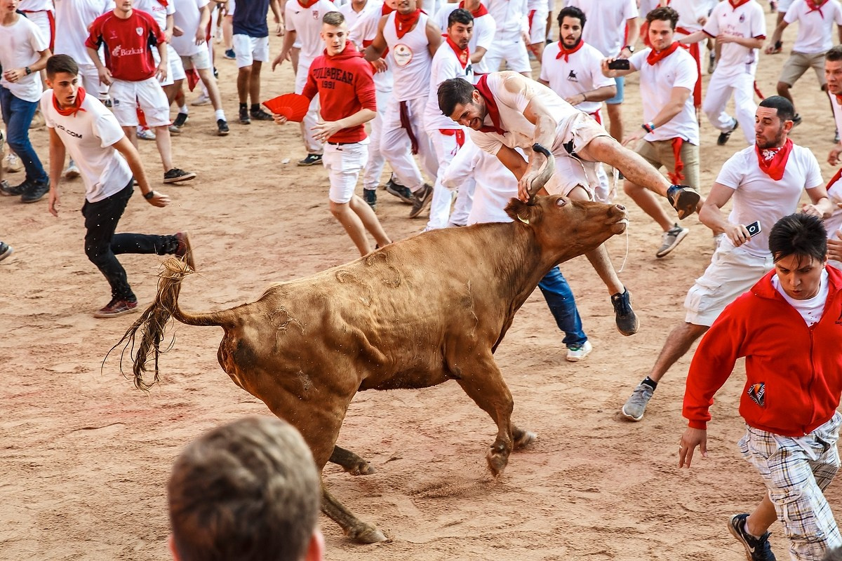 Фестивали. Фотограф Ольга Че