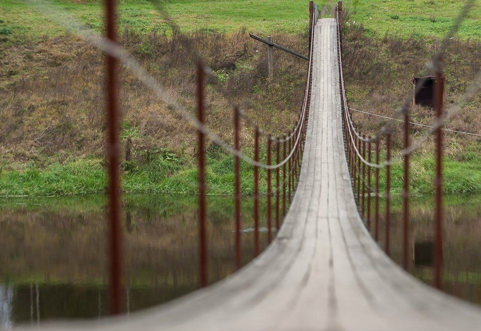 Фотосессия в загородном парке Подмосковья — тишина природы и зелёные просторы