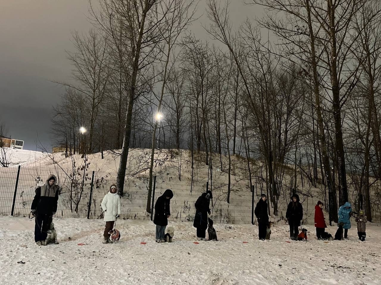 Практические занятия по дрессировке. НРОО КЦ "Собаковод"