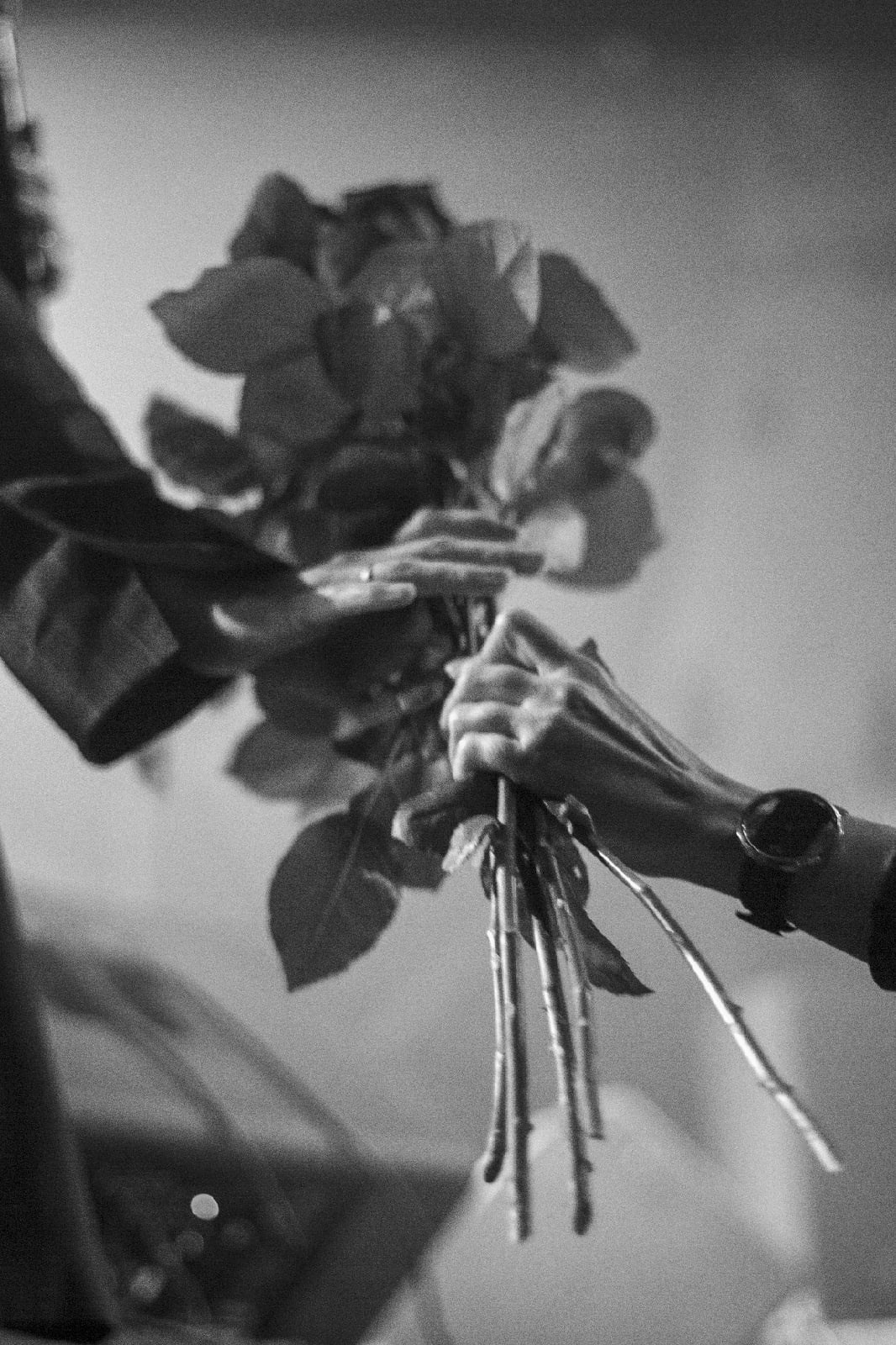 Звезды в объективе. Фотограф Евгения Рай