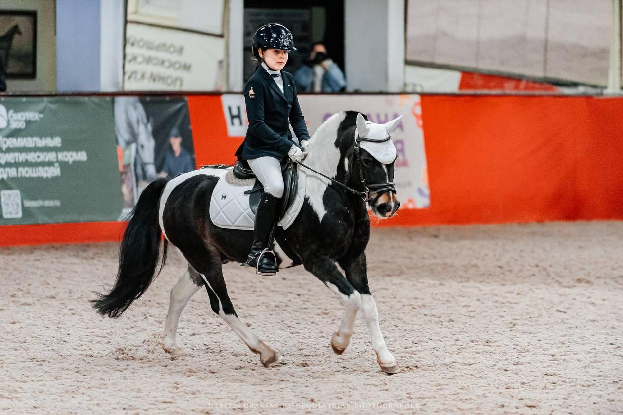 ВЫЕЗДКА в КЦ ИЗМАЙЛОВО, «ГЕОСКАЧКИ». Куракина Дарья • Конный фотограф