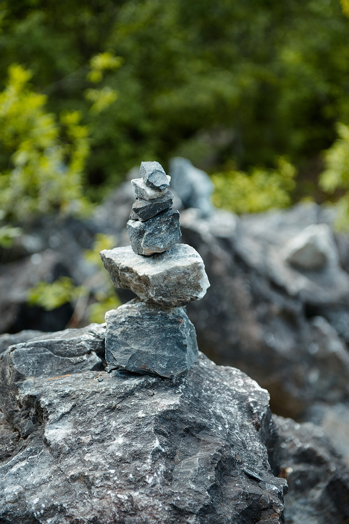 Карелия. Фотограф-анималист Наталья Светличная